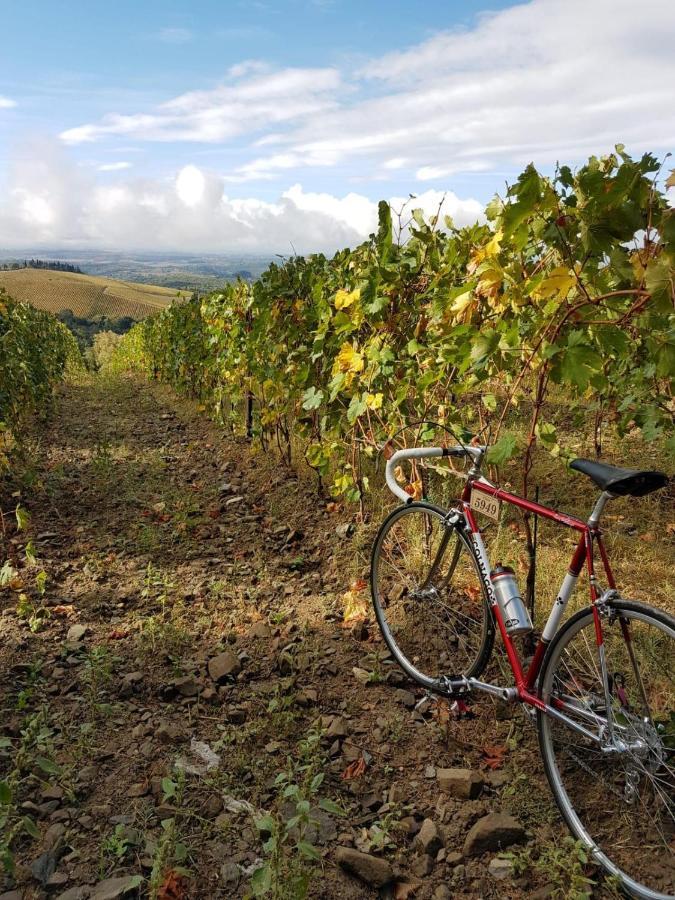 "La Casa Di Maria Luce" Con Terrazza Panoramica Lägenhet Gaiole in Chianti Exteriör bild